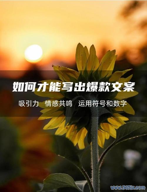推荐使用第1或第2条作为爆款标题；如果你要面向专业读者或合规性要求高的渠道，我可以把标题调整得更中性或更具数据感（如加入数字时间点地域词等），要哪种风格告诉我